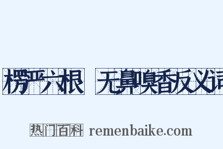 楞严六根·无鼻嗅香反义词是什么意思的图片